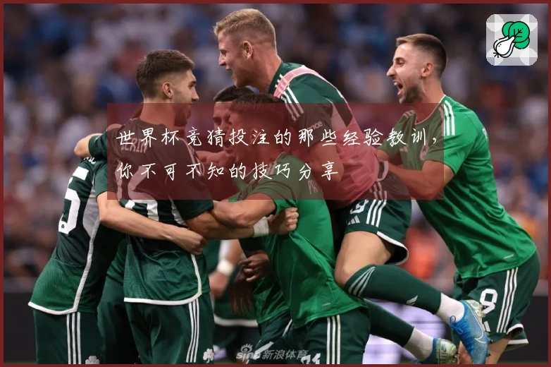 世界杯竞猜投注的那些经验教训，你不可不知的技巧分享