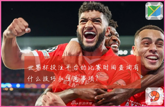 世界杯投注平台的比赛时间查询有什么技巧和注意事项？