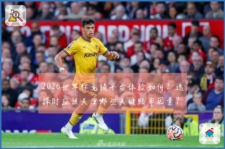 2026世界杯竞猜平台体验如何？选择时应该关注哪些关键赔率因素？